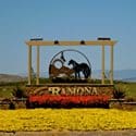 ramona icon
